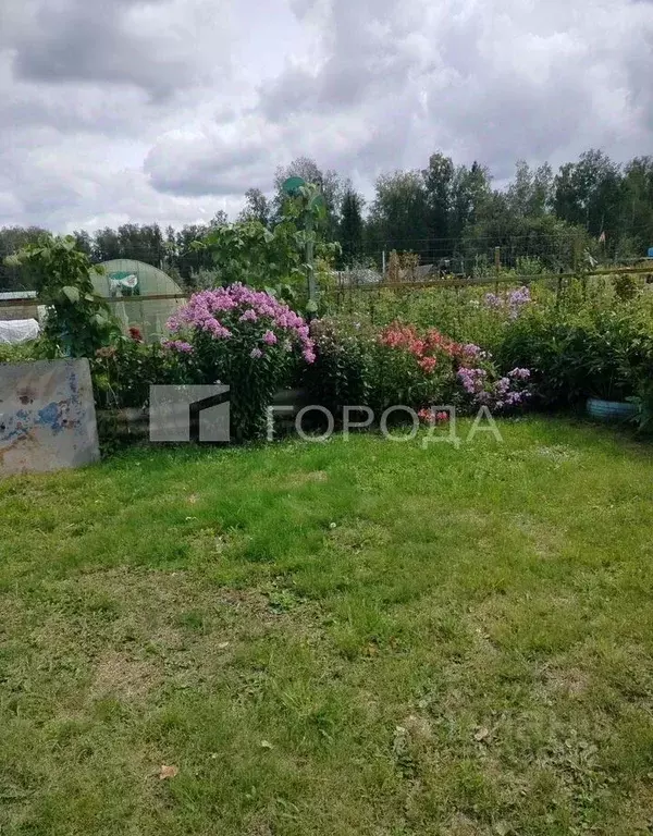 Участок в Новосибирская область, Новосибирск Искра тер., 310 (6.5 ... - Фото 1