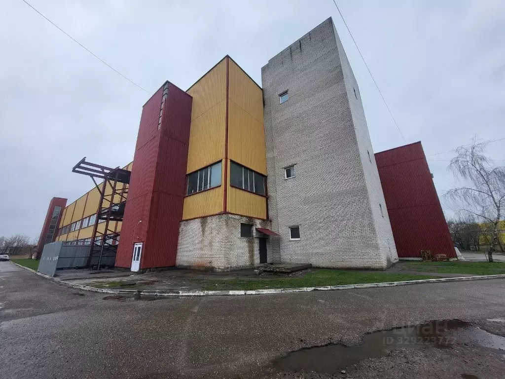 Помещение свободного назначения в Воронежская область, Воронеж ул. ... - Фото 1