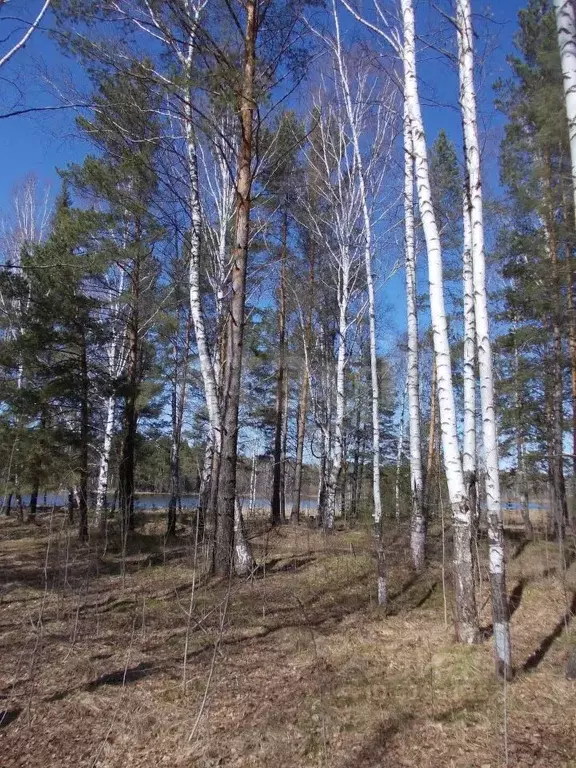 Участок в Свердловская область, Верхнесалдинский муниципальный округ, ... - Фото 1
