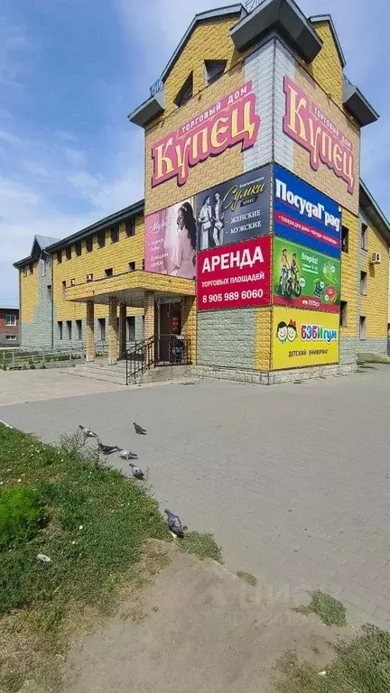 Помещение свободного назначения в Алтайский край, Славгород ул. ... - Фото 1
