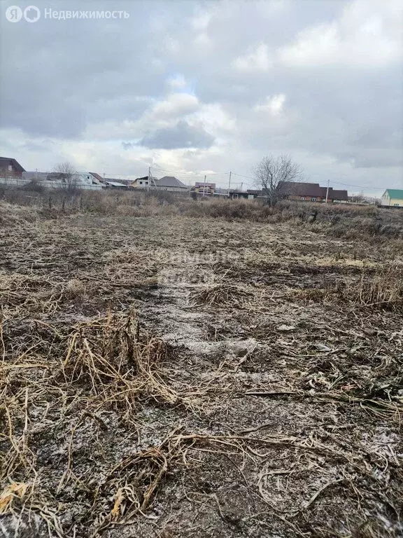 Участок в село Максимовщина, Новая улица, 11/2 (22.3 м) - Фото 0