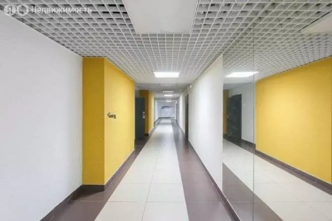 Помещение свободного назначения (243 м) - Фото 1