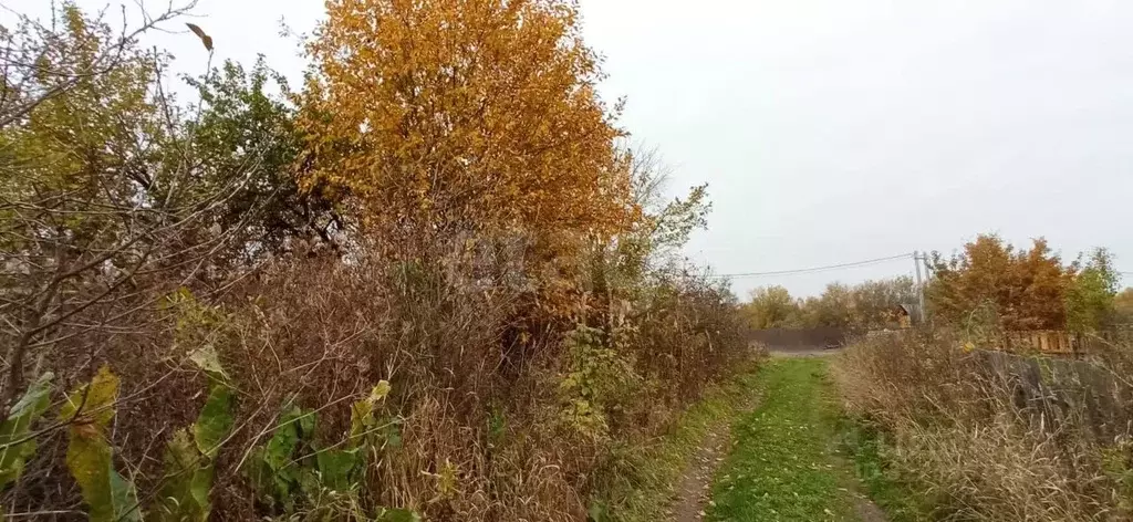 Участок в Вологодская область, Сокол ул. Жилучасток 2 (15.0 сот.) - Фото 1