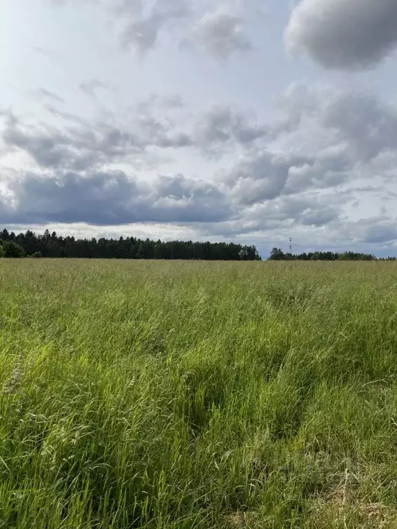 Участок в Московская область, Клин городской округ, с. Воздвиженское  ... - Фото 2