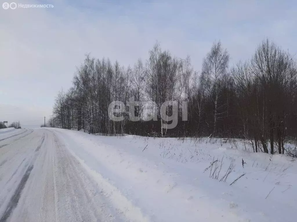 Участок в Костромской район, Шунгенское сельское поселение, село Шунга ... - Фото 0