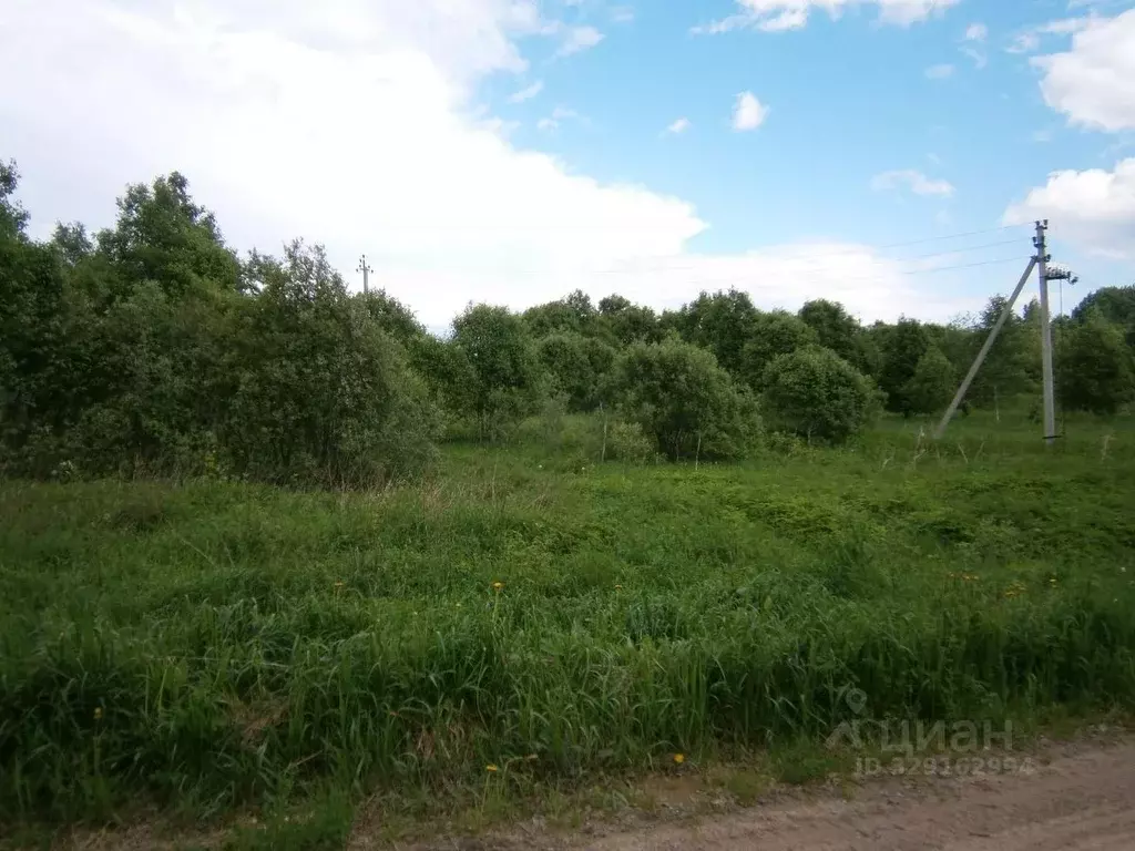 Участок в Новгородская область, Валдайский муниципальный район, ... - Фото 1