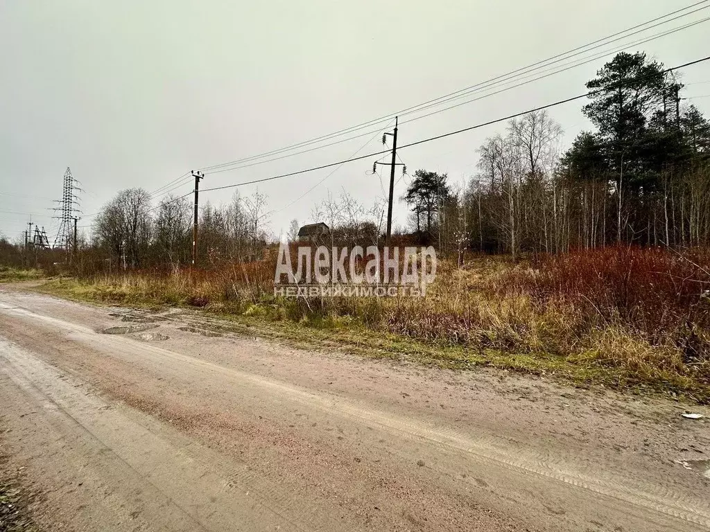 Участок в Ленинградская область, Приозерский район, Кузнечное пгт ... - Фото 0