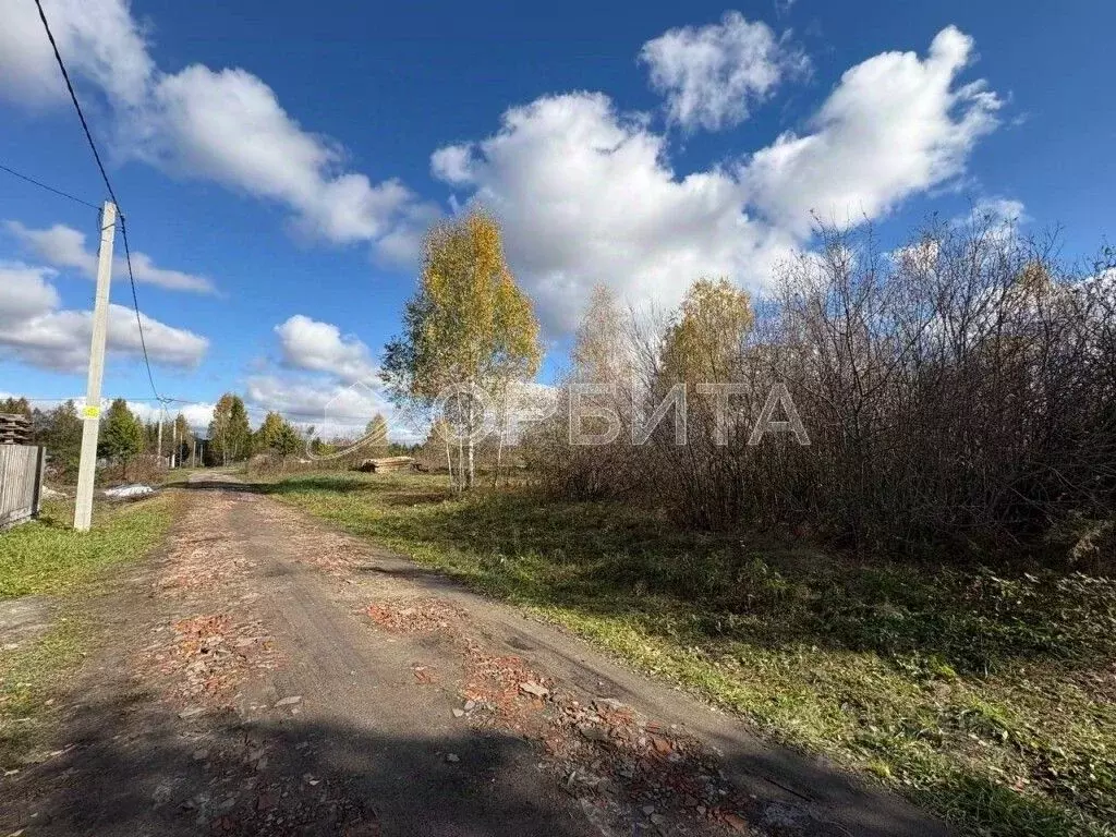 Участок в Тюменская область, Ялуторовский муниципальный округ, СО ... - Фото 1