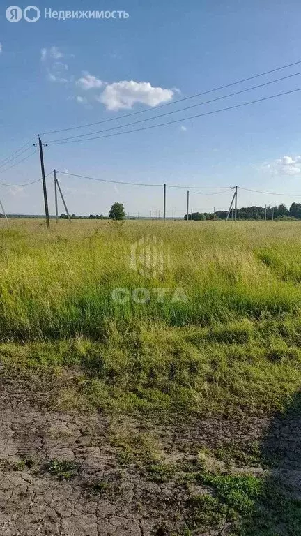 Участок в посёлок Волна-Шепелиновка, Лесная улица (8 м) - Фото 2