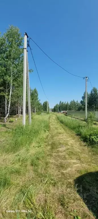Участок в Курганская область, Кетовский муниципальный округ, с. ... - Фото 1