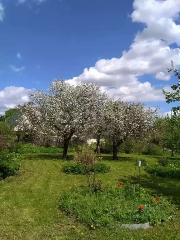Дом в Московская область, Сергиево-Посадский городской округ, д. ... - Фото 1