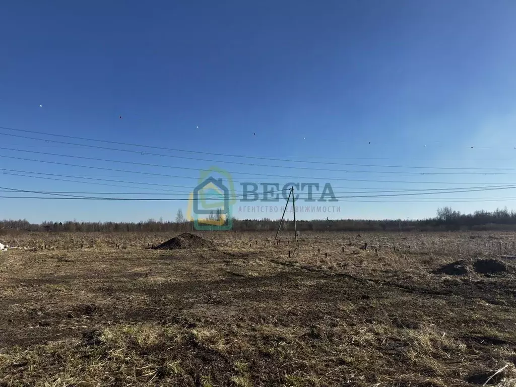 Участок в Ленинградская область, Ломоносовский район, Виллозское ... - Фото 1