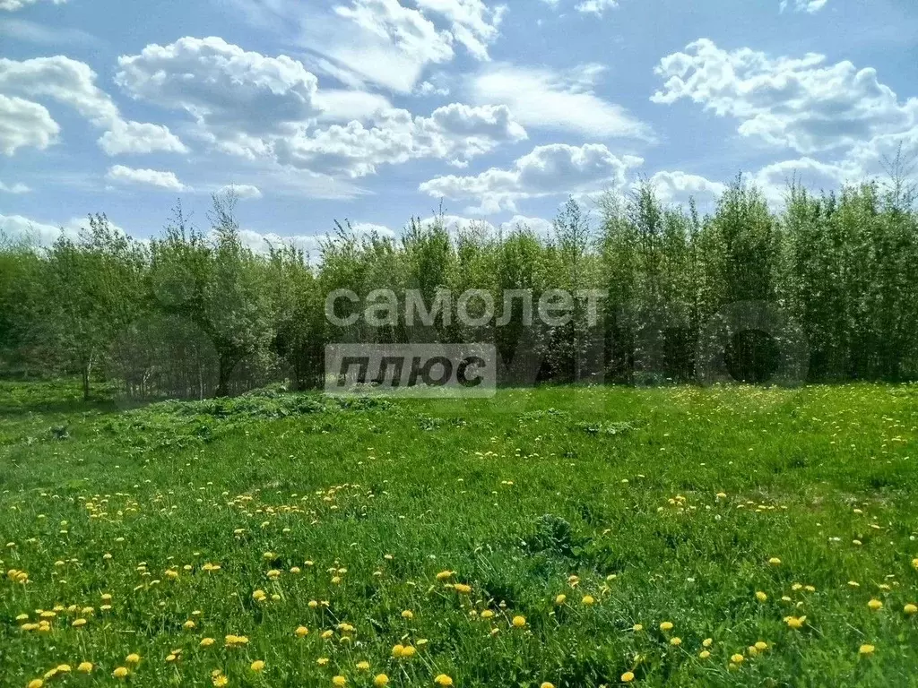 Участок 19,9 сот. (личное подсобное хозяйство (лпх)) - Фото 0