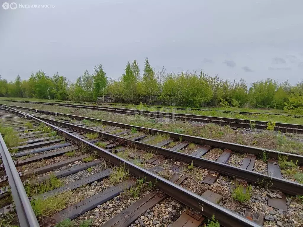 Помещение свободного назначения (1123.4 м) - Фото 0