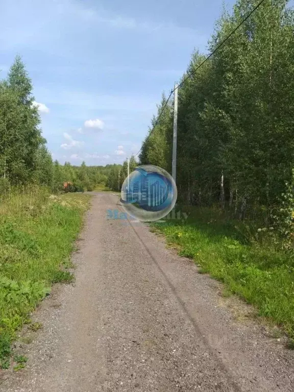 Участок в Московская область, Ступино городской округ, д. ... - Фото 1