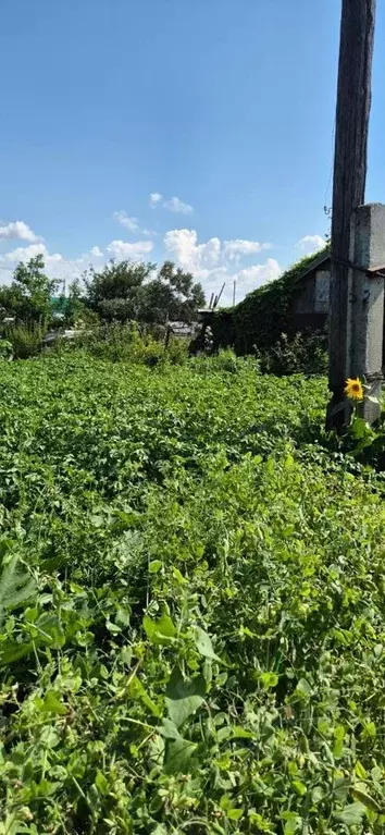 Дом в Свердловская область, Ревда Заречный СОТ,  (16 м) - Фото 1