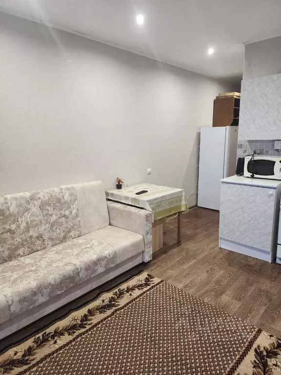 Студия Новосибирская область, Новосибирск ул. Виктора Уса, 7 (20.0 м) - Фото 1