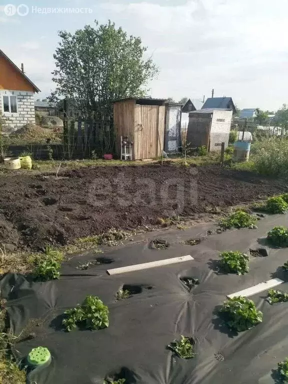 Участок в Первомайский район, СНТ Новогорское, 4-я линия (5.54 м) - Фото 2