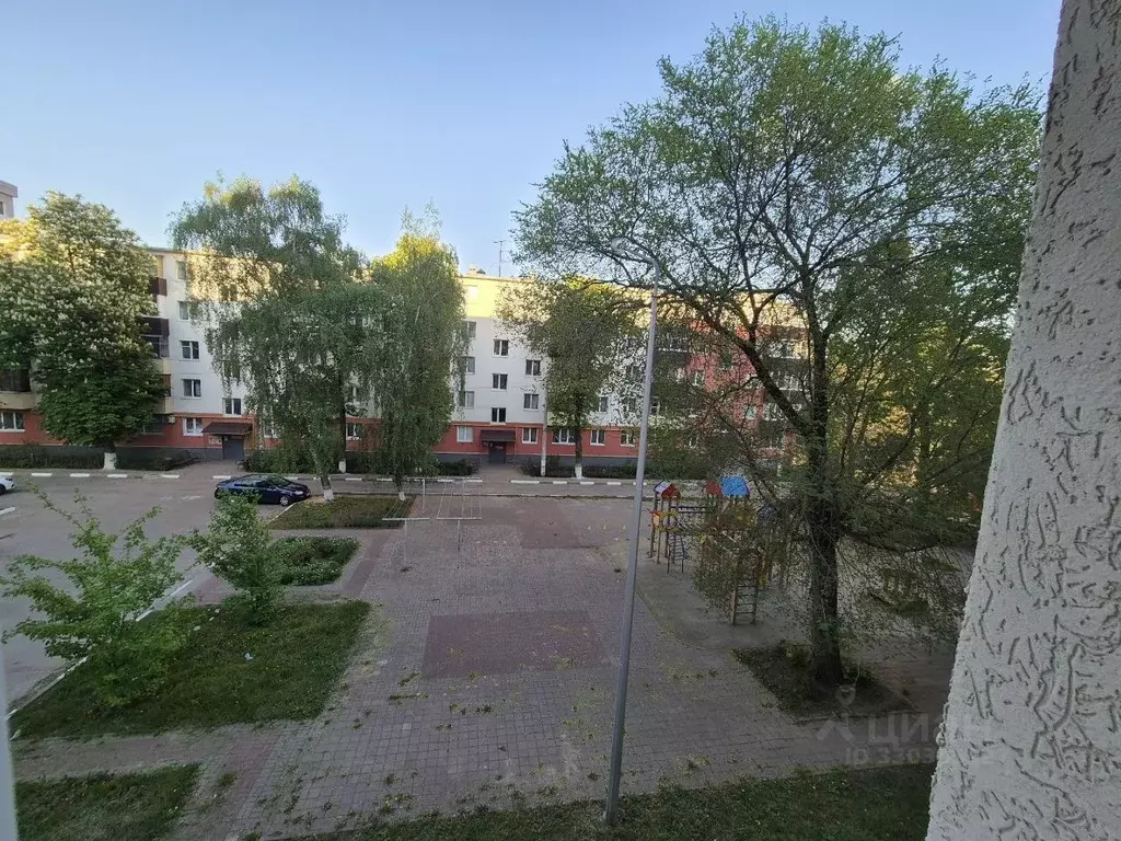 Комната Белгородская область, Белгород Гражданский просп., 27а (9.3 м) - Фото 1