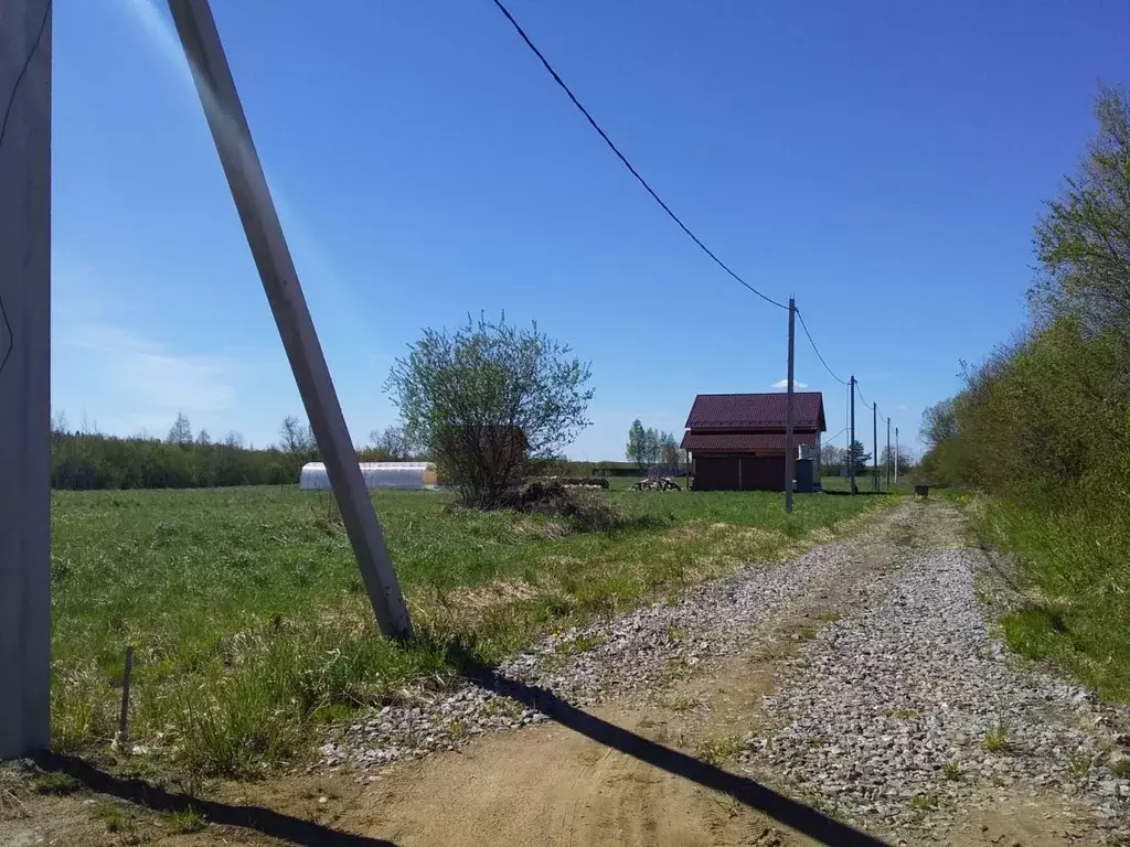 Участок в Ленинградская область, Всеволожский район, Колтушское ... - Фото 1