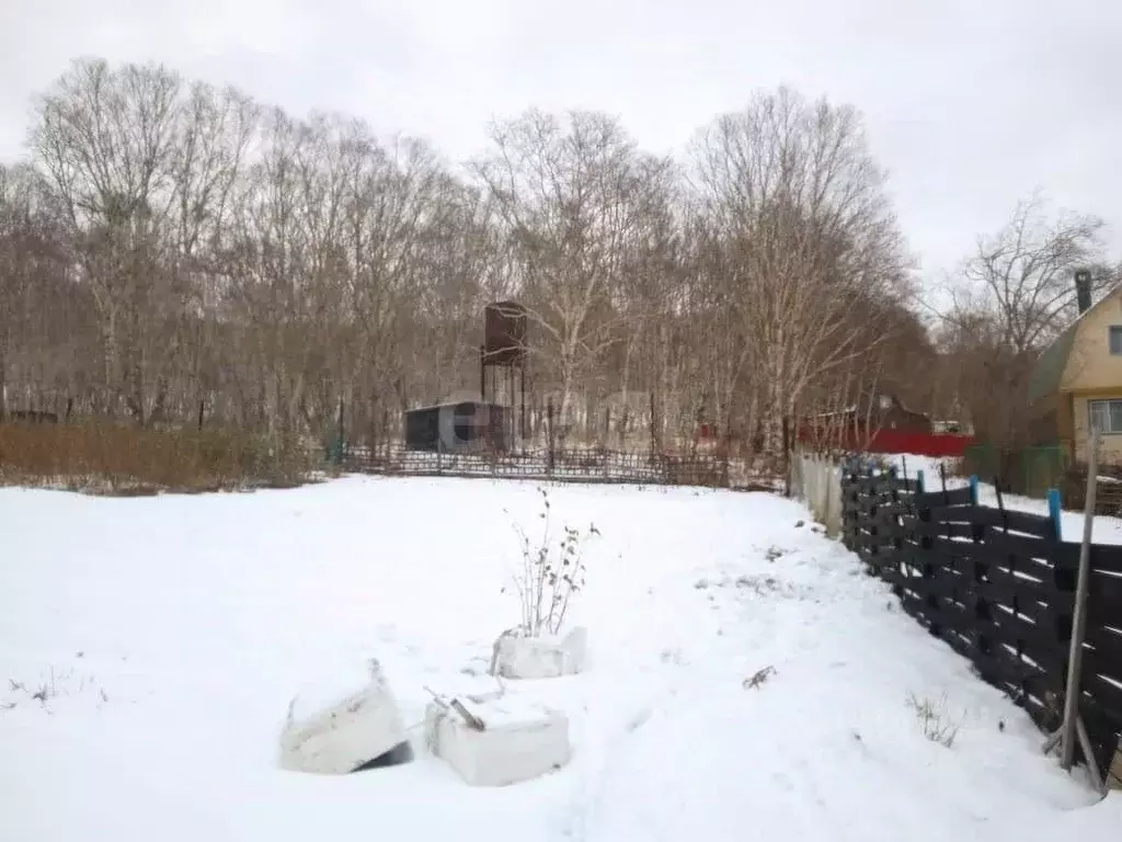 Участок в Камчатский край, Елизовский муниципальный округ, Лесная ... - Фото 1