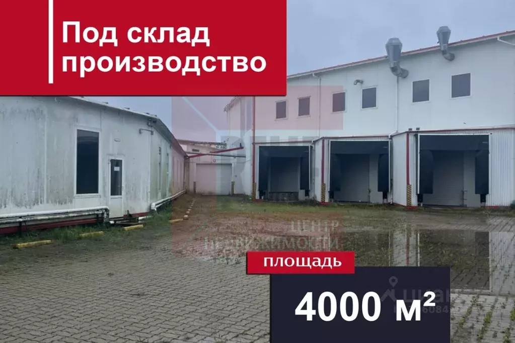 Производственное помещение в Калининградская область, Светлый ... - Фото 1