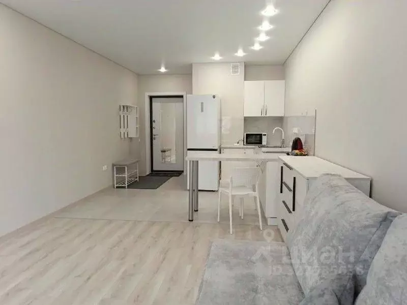 Студия Саратовская область, Саратов ул. Стрельбище, 22 (32.6 м) - Фото 1