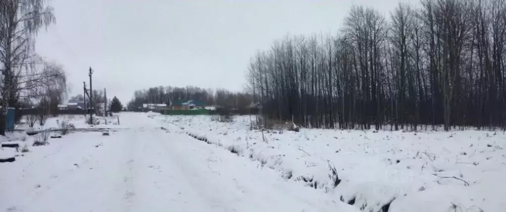 Участок в Марий Эл, Медведевский район, Ежовское с/пос, д. Ятманово ... - Фото 1