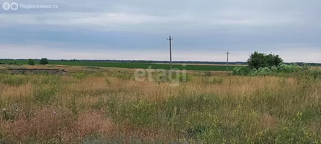 Участок в Балашов, Советская улица (15.1 м) - Фото 0