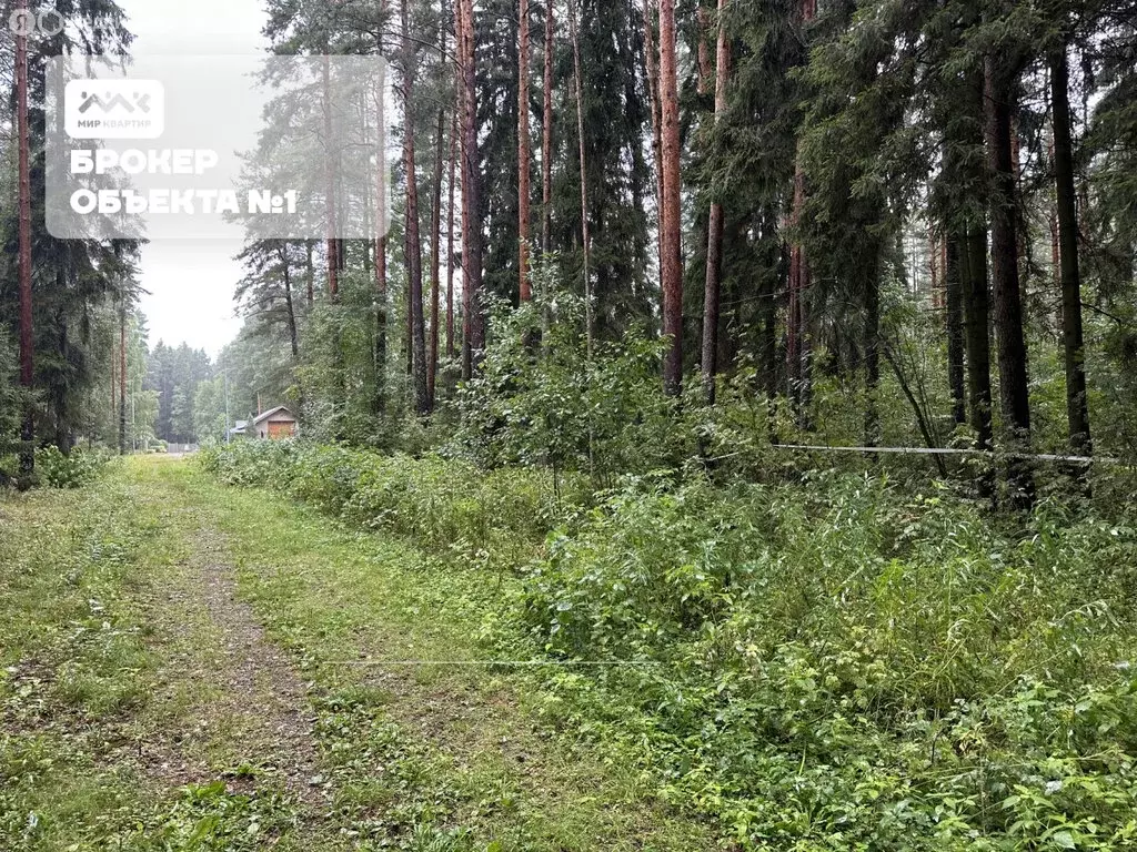 Участок в посёлок Молодёжное, Почтовая улица, 10 (42 м) - Фото 1