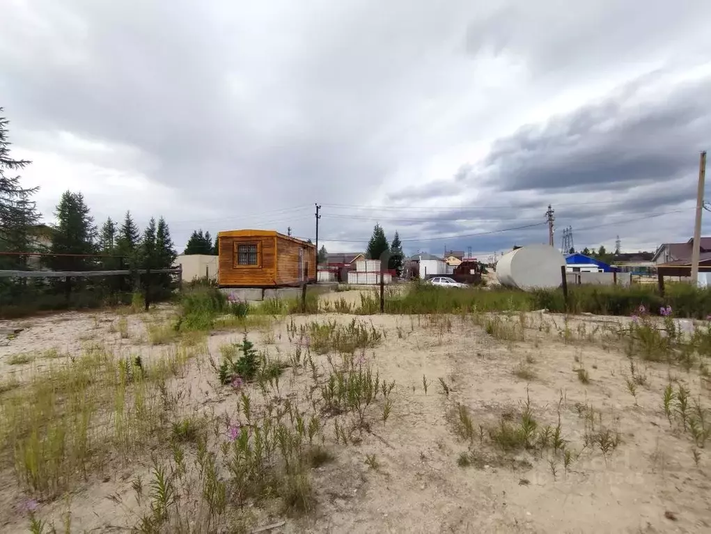 Участок в Ямало-Ненецкий АО, Новый Уренгой Северный Берег ДНТ, ул. 4-я ... - Фото 1