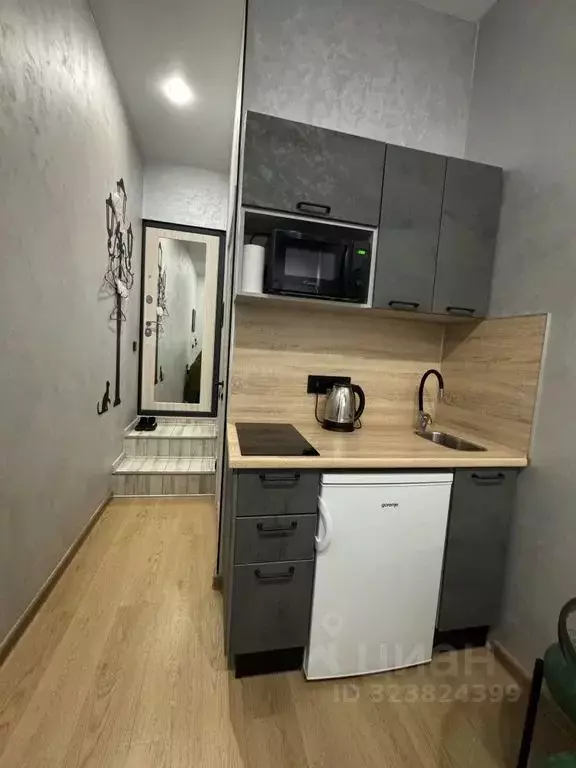 Студия Санкт-Петербург ул. Жуковского, 6Б (17.0 м) - Фото 2