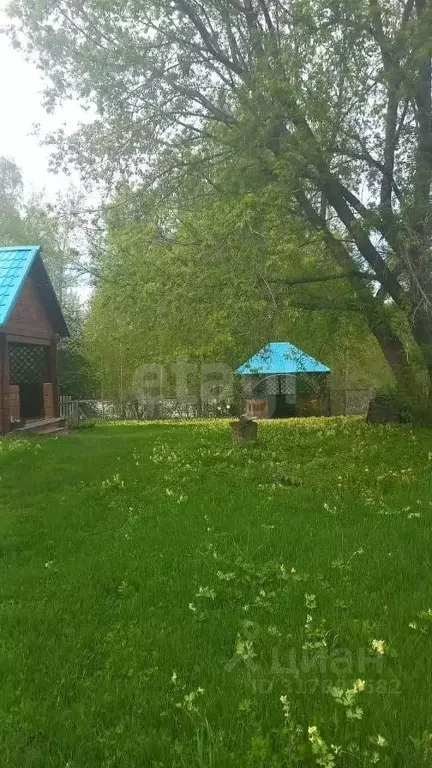 Дом в Алтай, Майминский район, с. Соузга  (110 м) - Фото 0