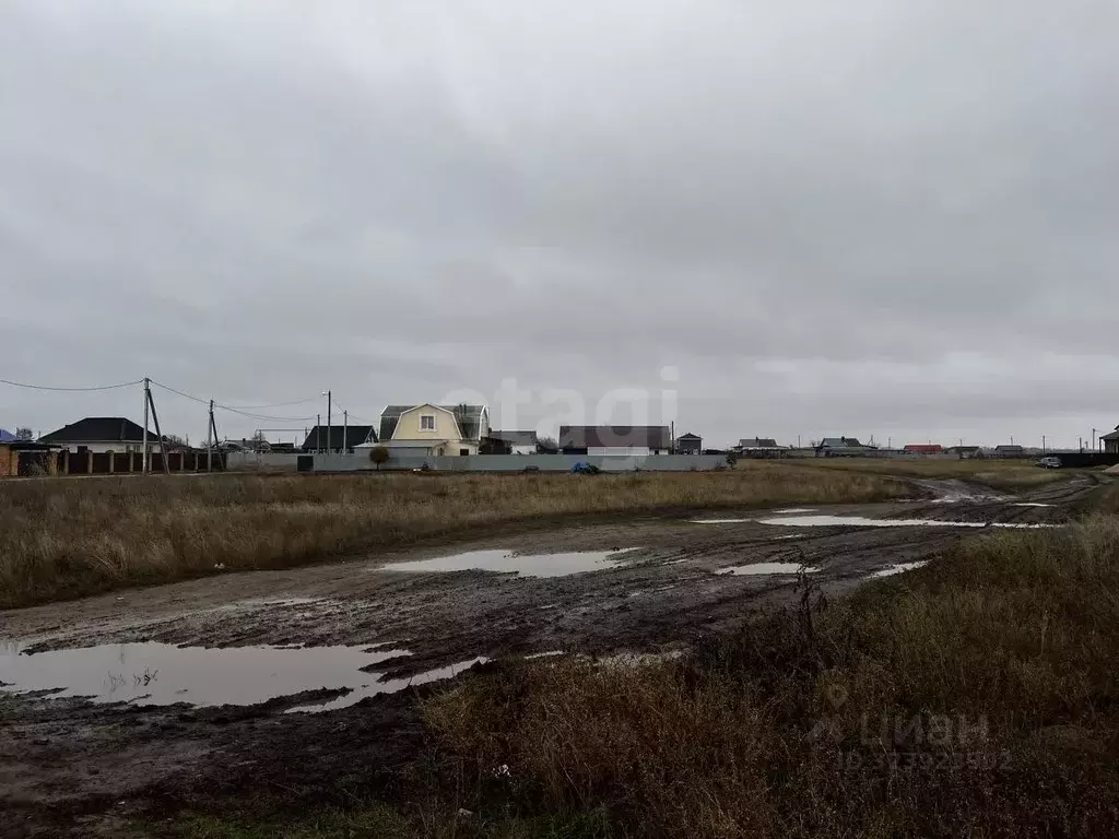 Участок в Саратовская область, Энгельсский район, Красноярское ... - Фото 2