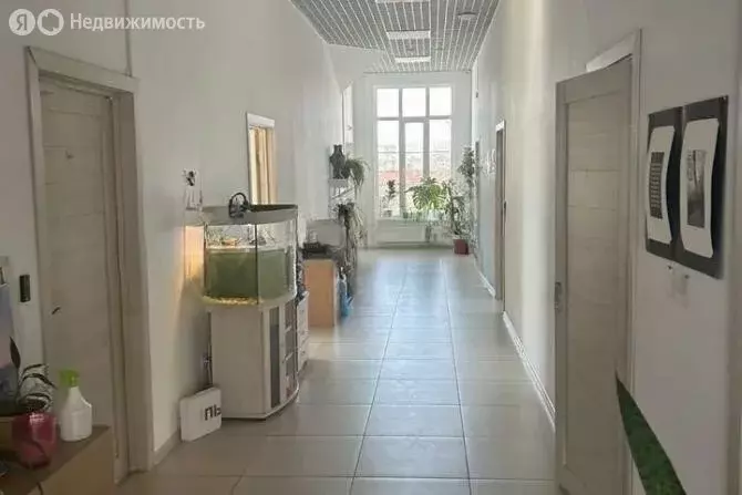 Помещение свободного назначения (597 м) - Фото 1