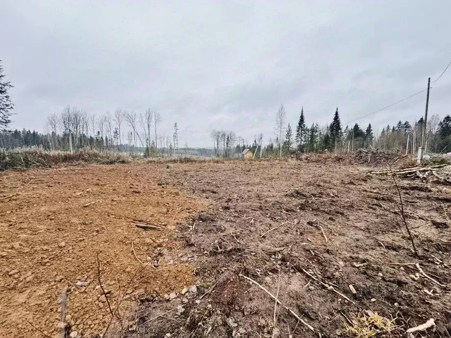 Участок в Пермский край, Березники ул. Осиновая, 13 (8.1 сот.) - Фото 2