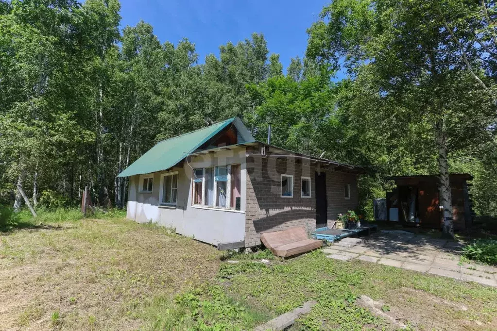 Дом в Еврейская автономная область, Смидовичский район, с. Дежневка ... - Фото 2