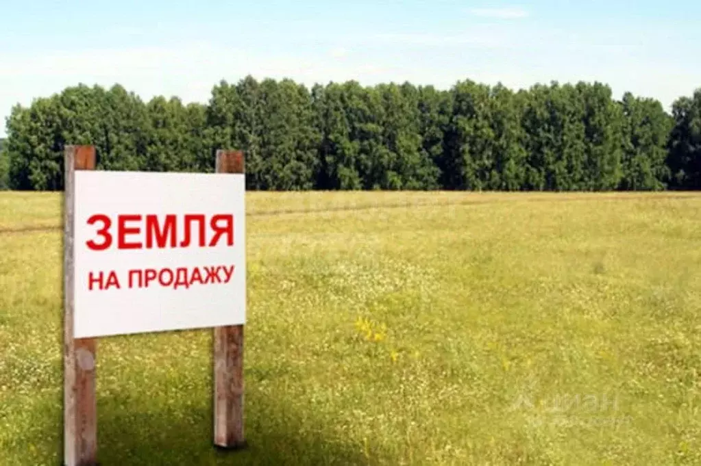 Участок в Оренбургская область, пос. Саракташ  (10.0 сот.) - Фото 2