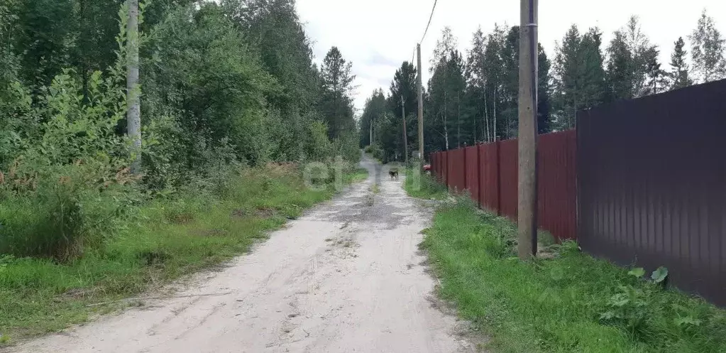 Участок в Ханты-Мансийский АО, Ханты-Мансийск Прометей СОТ,  (10.0 ... - Фото 1