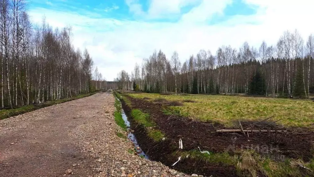 Участок в Ленинградская область, Приозерский район, Раздольевское ... - Фото 2