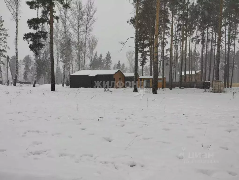 Участок в Новосибирская область, Новосибирский район, Кубовинский ... - Фото 0