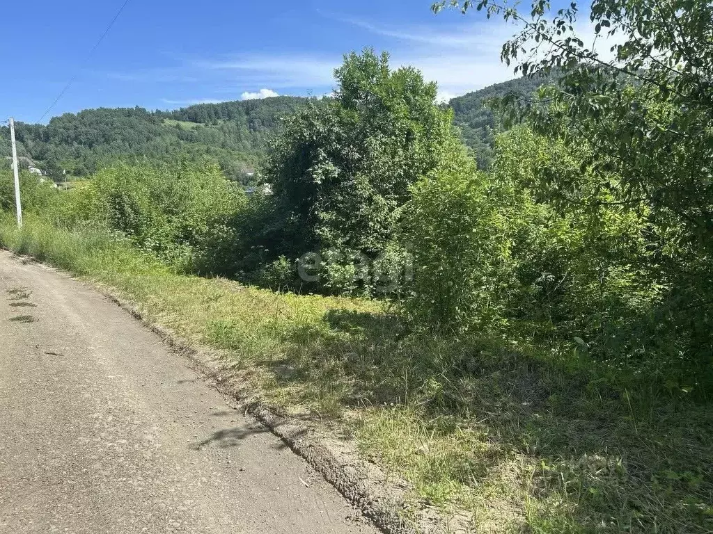 Участок в Алтай, Горно-Алтайск ул. В.Ф. Хохолкова (10.0 сот.) - Фото 1