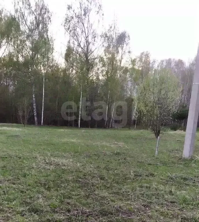 Участок в Татарстан, Зеленодольский район, Большекургузинское с/пос, ... - Фото 1