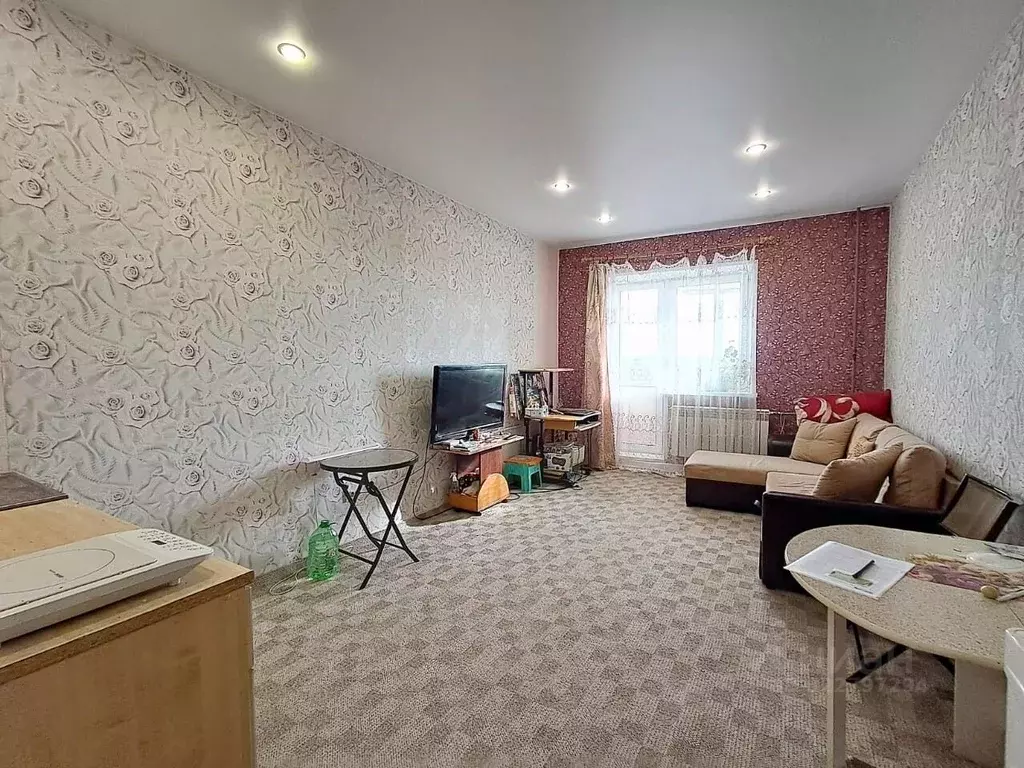 Студия Московская область, Лосино-Петровский городской округ, ... - Фото 2