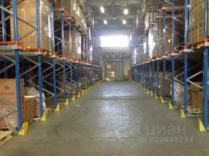 Склад в Москва Рябиновая ул., 37С1 (2800 м) - Фото 2