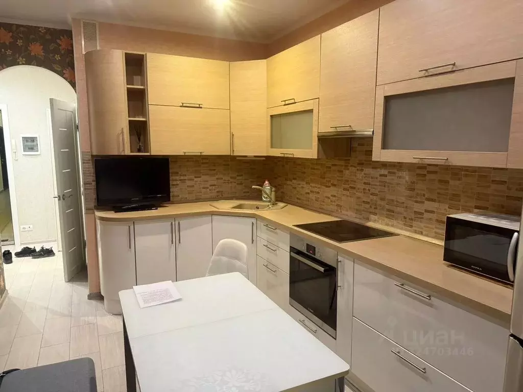 1-к кв. Московская область, Богородский городской округ, д. Щемилово ... - Фото 2