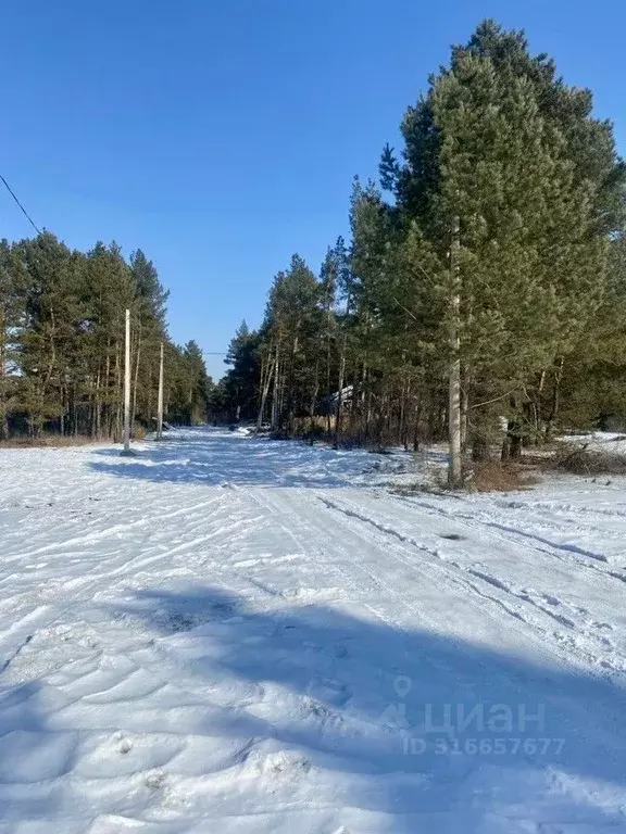 Участок в Хакасия, Бейский район, д. Малый Монок Таежная ул. (9.0 ... - Фото 0