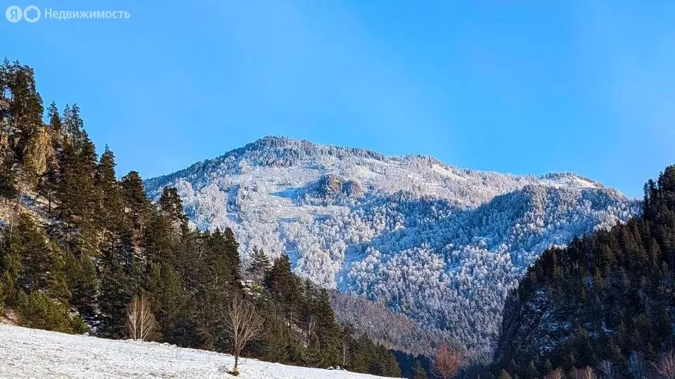 Участок в Чемальский район, Элекмонарское сельское поселение, село ... - Фото 1