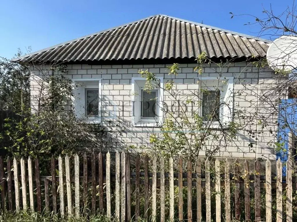 Дом в Белгородская область, Поселок Чернянка городское поселение, ... - Фото 1