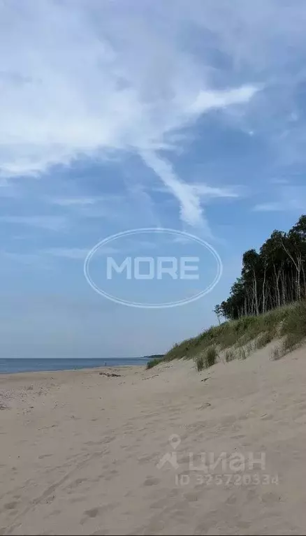 Участок в Калининградская область, Зеленоградский муниципальный округ, ... - Фото 1